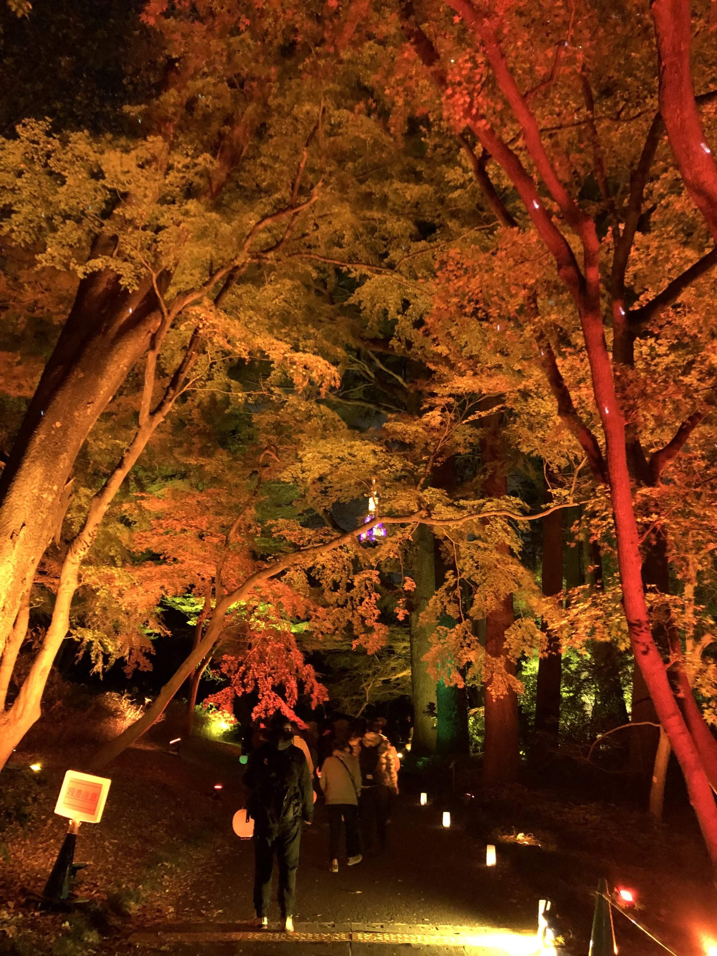 🌳 푸른 즐거움의 정원(스이라쿠엔) 이미지 11